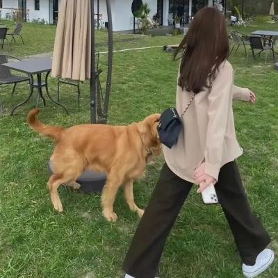 粗点心战争第一季